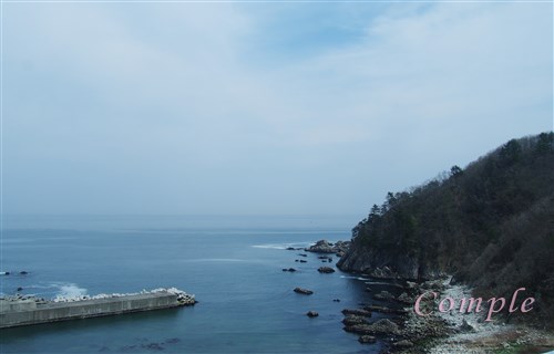 三陸鉄道からの海の風景