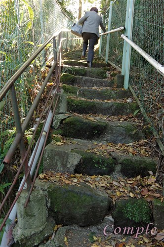 強羅の階段