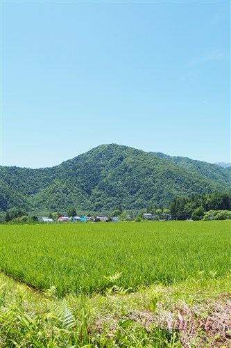 信濃大町温泉郷ウォーキングで初夏の風景写真撮影