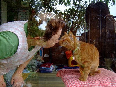 猫とおばあちゃん